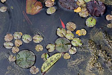 动作策略游戏《RFM》发布 2022年登陆PC＆主机